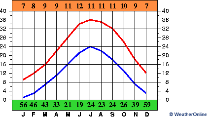 Шираз